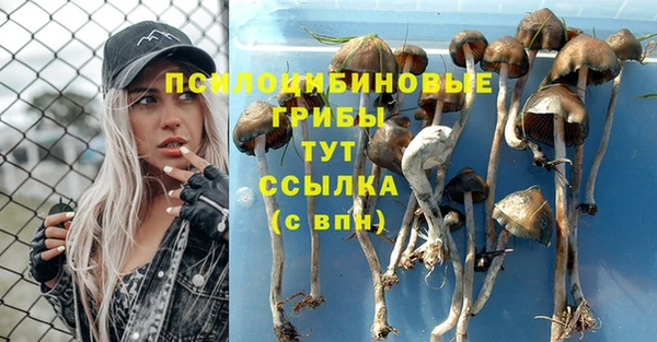 мескалин Абаза