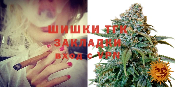 сатива Краснослободск